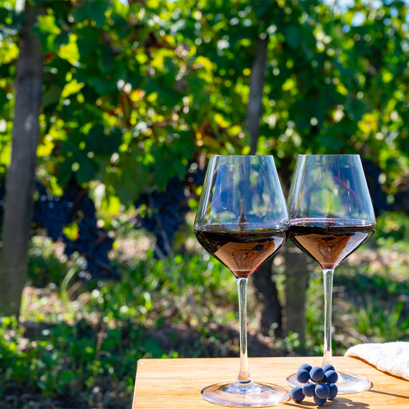 wine_tasting_shutterstock
